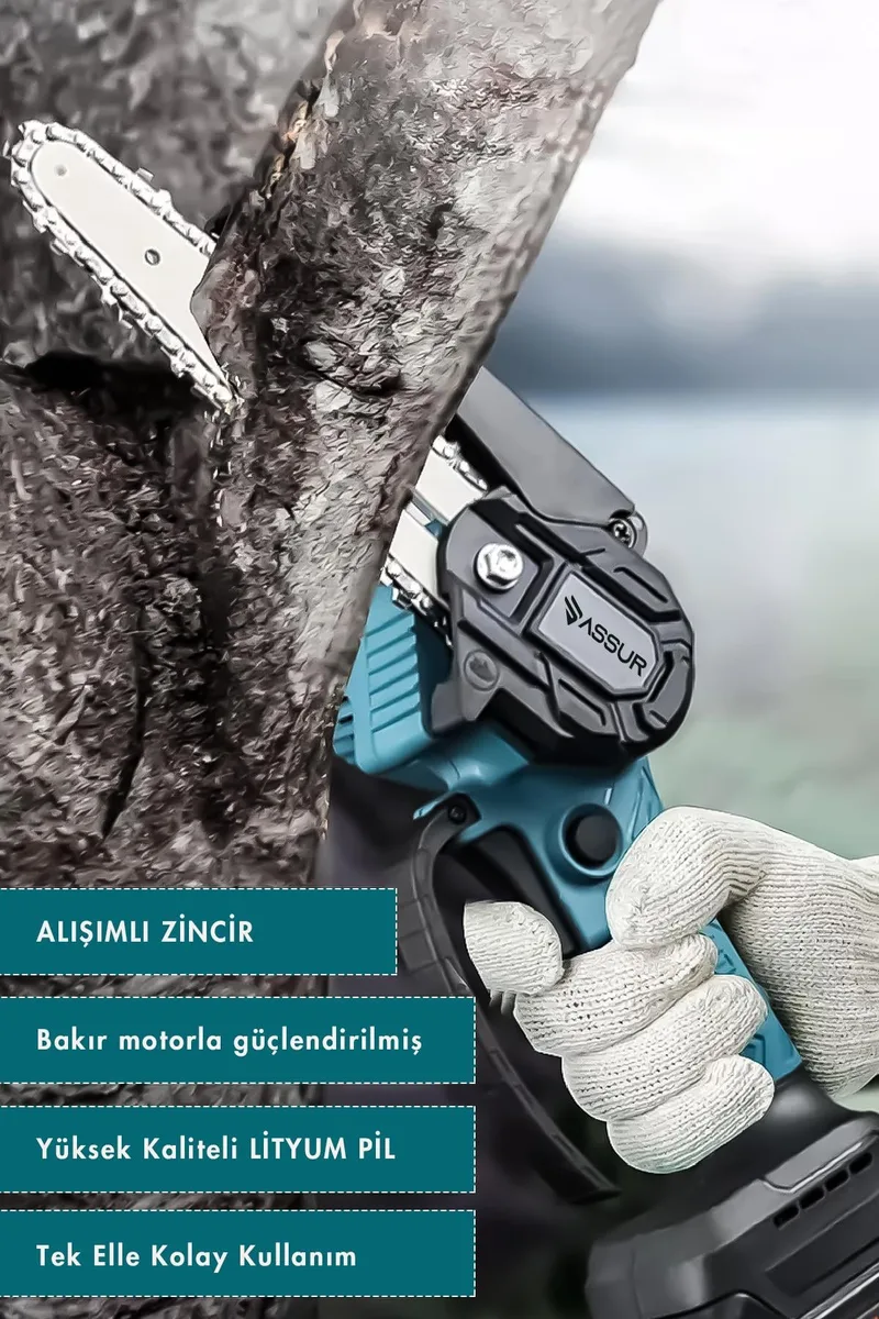 Assur 18V Çift Akülü Ağaç Odun Dal Budama Testere - Görsel 3