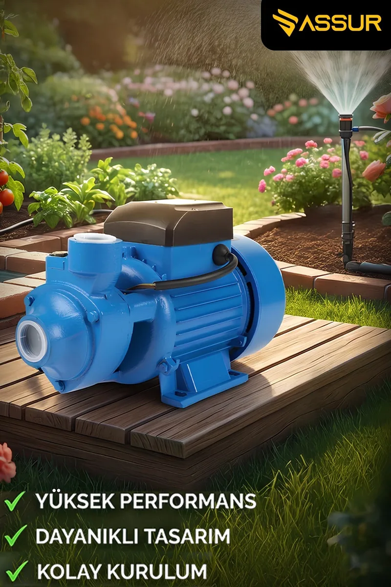 ASSUR Qb80 43m Basınç Yüksekliği 1 HP Bakır Sargı Elektrikli Santrifüj Pompa Su Motoru - Görsel 2